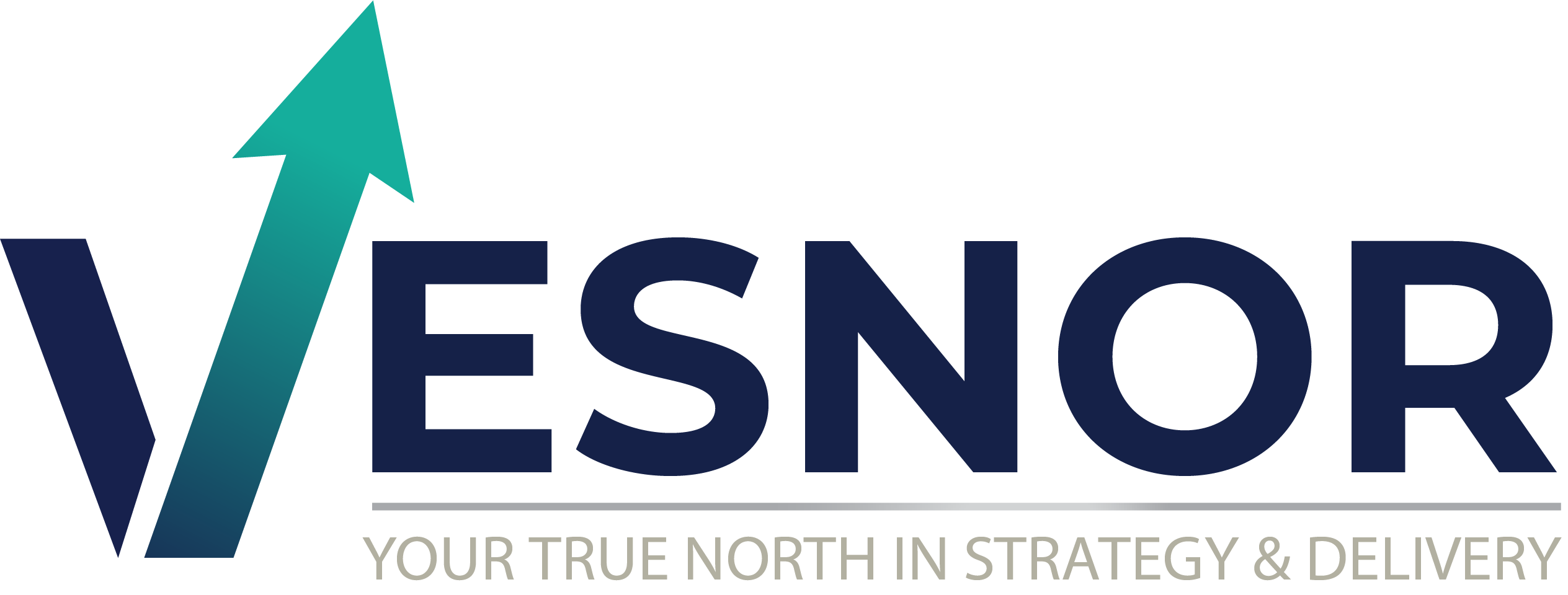 Vesnor Logo
